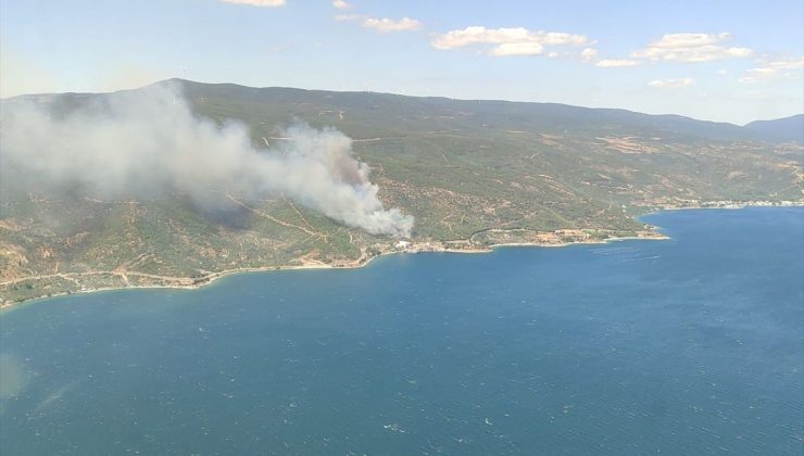 Yalova’da çıkan orman yangınına müdahale ediliyor