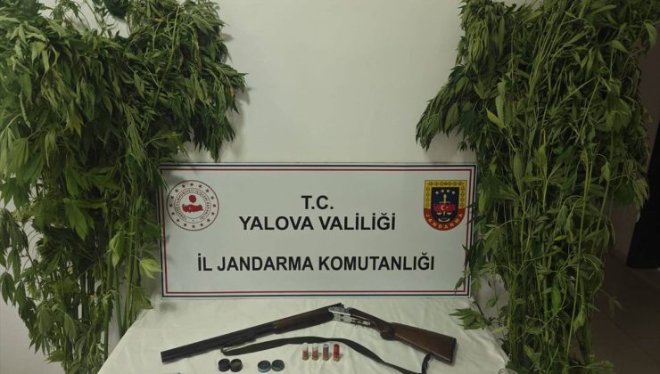 Yalova’da uyuşturucu operasyonunda 2 zanlı yakalandı