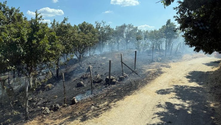 Yenice’de orman yangını kontrol altına alındı