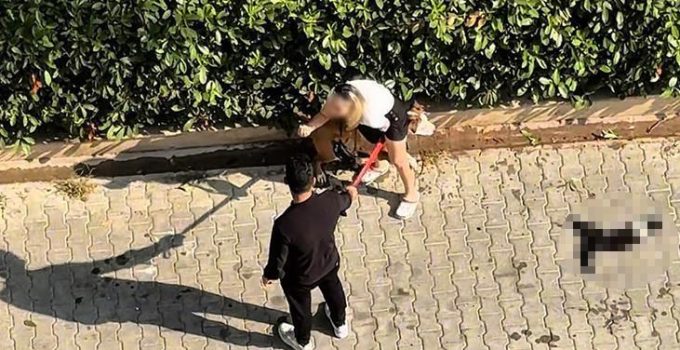 Adana’da Pitbull dehşeti! Kediyi parçaladı: Sahibi ‘polisi aramayın’ diye yalvardı
