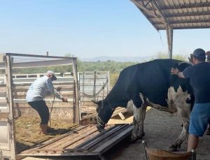 Aydın’daki orman yangını 3’üncü gününde