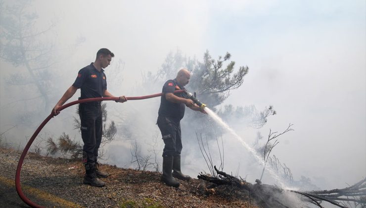 Aydın’ın Çine ilçesindeki orman yangınına müdahale 3. gününde sürüyor