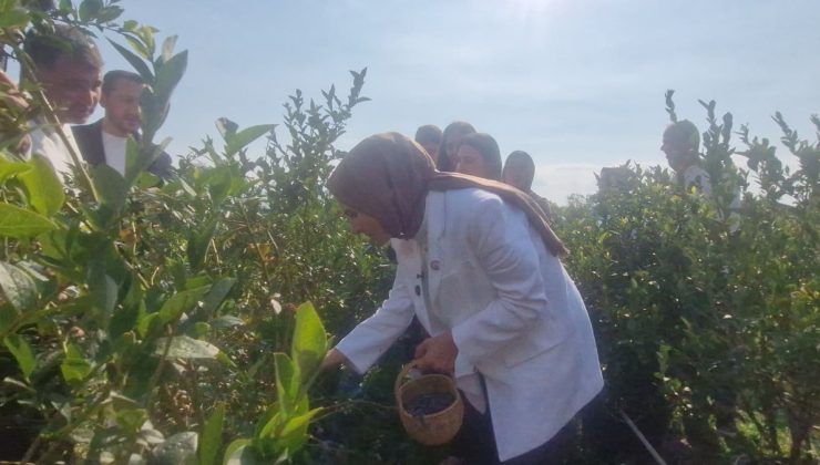 Bakan Göktaş açıkladı, şehit aileleri ve gazilere yönelik haklar genişliyor