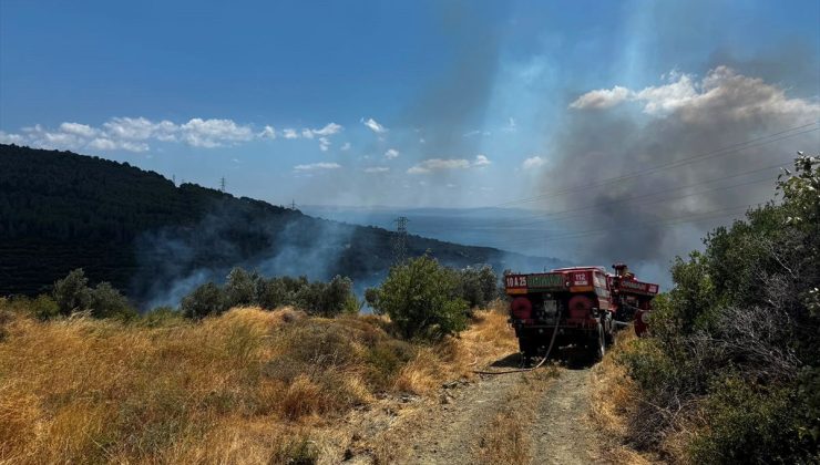 Balıkesir’in Erdek ilçesinde makilik ve zeytinlik alanda yangın çıktı