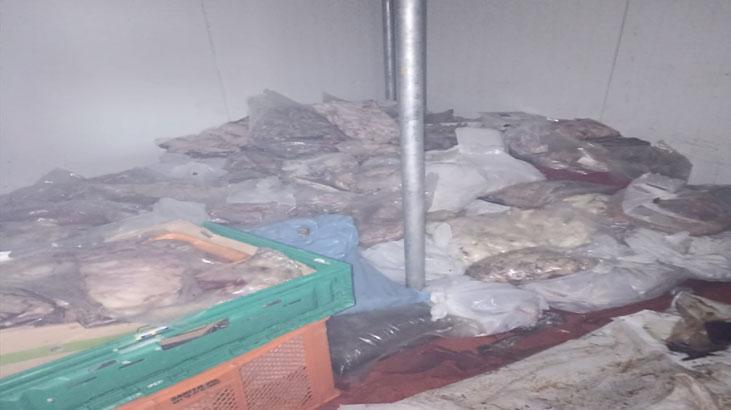 Bodrum’da kötü koku ekipleri harekete geçirdi! 400 kilo bozuk ete el konuldu