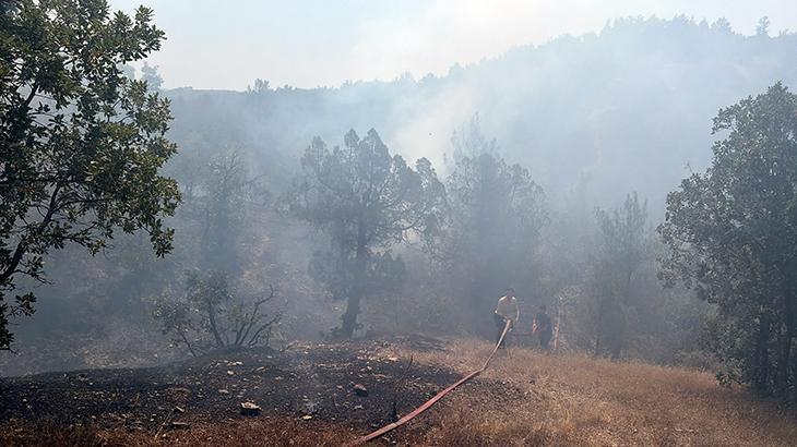 Bursa”da orman yangını! Alevlere, havadan ve karadan müdahale