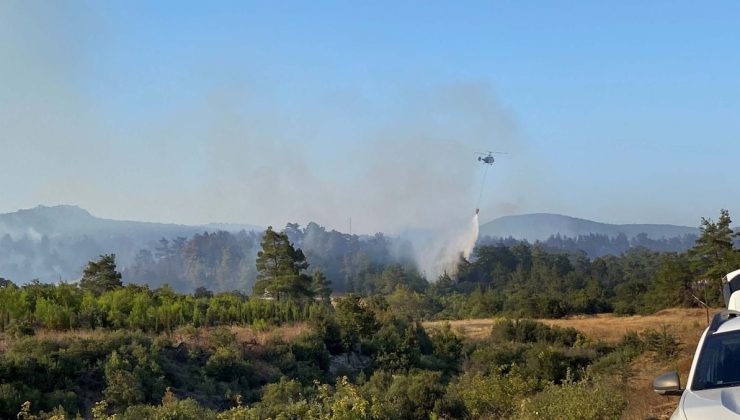 Çanakkale’de orman yangını