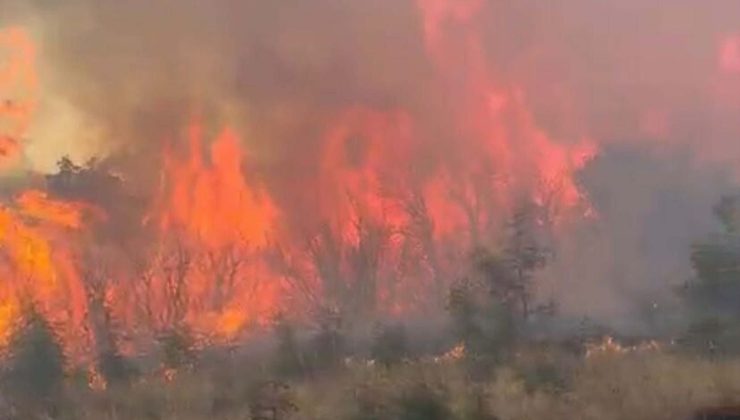 Çanakkale’de orman yangını