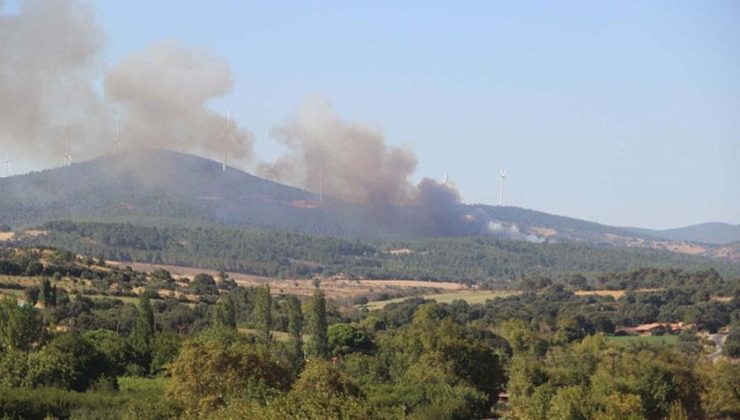 Çanakkale’de orman yangını! Havadan ve karadan müdahale ediliyor
