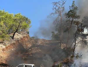 Fethiye’de kamyonetten ormana sıçrayan yangın söndürüldü