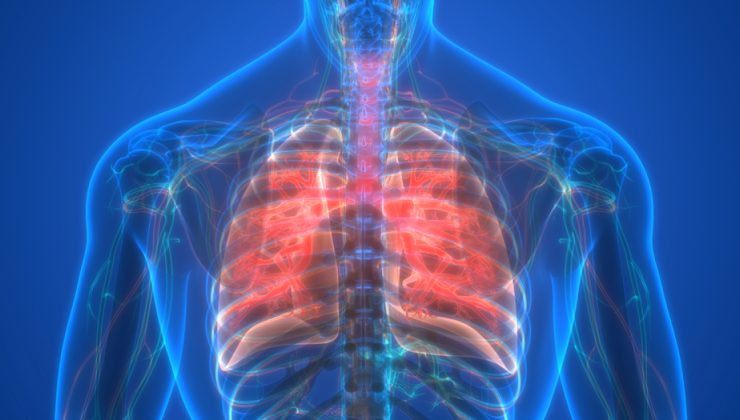 İklim krizi solunum hastalıklarını tetikliyor! Başvurular yüzde 20 arttı