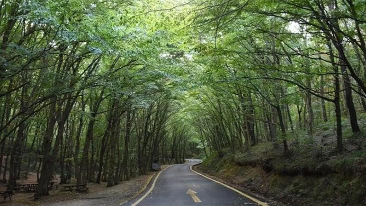 İstanbul’da bugün koru ve ormanlar kapalı mı? Koru ve ormanlar neden kapalı?