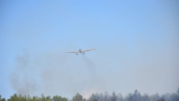 İzmir’de orman yangını (2)