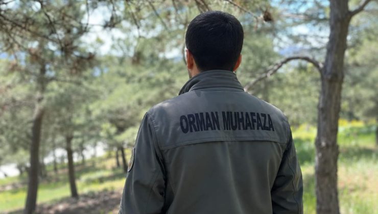 KDK’dan, diyabet hastası orman muhafaza memuru için ‘açık arazide çalışmasın’ tavsiye kararı