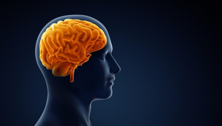 Kısa videolar beyin çürümesi, kaygı ve strese yol açıyor, dikkat eksikliğini tetikliyor