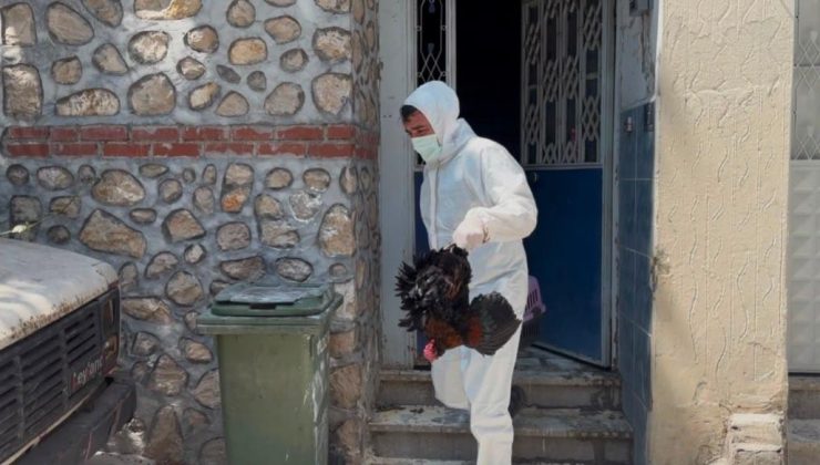 Mahalle pire istilasıyla karşı karşıya kaldı! 3 katlı binadan çıkanlar şaşkına çevirdi