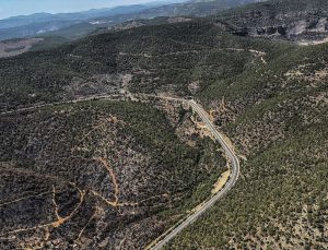 Mersin’de yanan ormanlık alan havadan görüntülendi