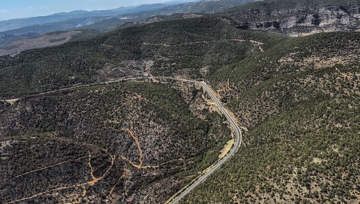 Mersin’de yanan ormanlık alan havadan görüntülendi