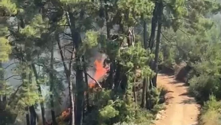 Muğla Fethiye’de orman yangını çıktı