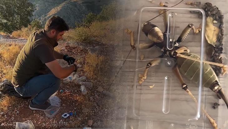 Nemrut’taki çekirgelerin peşindeki 2 yabancıyla ilgili dikkat çeken senaryo: Çok kötü bir şey bu