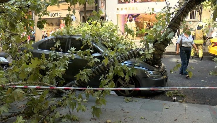 Nişantaşı’nda çınar ağacı taksinin üzerine devrildi! Teşvikiye Caddesi trafiğe kapandı
