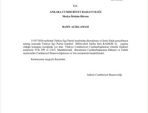 Sera Kadıgil hakkında Cumhurbaşkanına hakaretten soruşturma başlatıldı