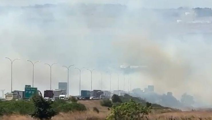 Silivri’de tarlada başlayan yangın rüzgarın etkisiyle büyüdü! TEM otoyolunda trafik durdu