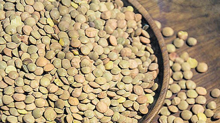 Yeşil mercimekte üretim yüzde 62 arttı! Alım fiyatı 32 bin lira