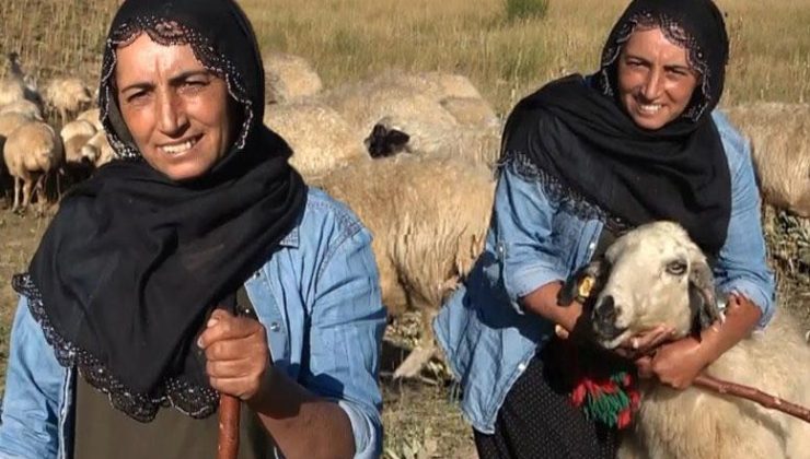 2 çocuk annesi yaylada çobanlık yapıyor! Şimdi tek bir hayalin peşinde