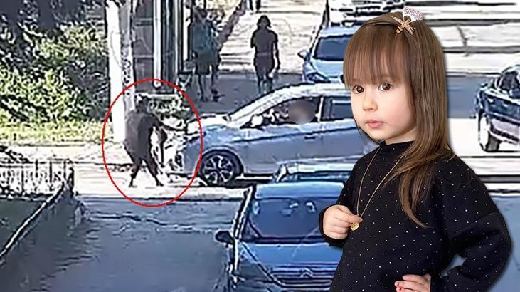 3 yaşındaki Elif Mavi’nin ölümü kahretti: Bir gün önce hediye, ertesi gün mezar yeri seçtim