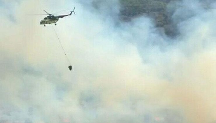 Aydın’da orman yangını! Alevlere havadan ve karadan müdahale