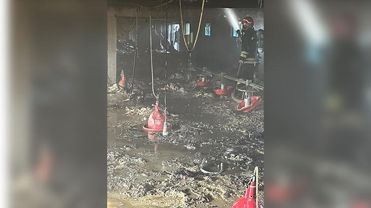 Bolu Mudurnu’da kümeste yangın! Yüzlercesi telef oldu