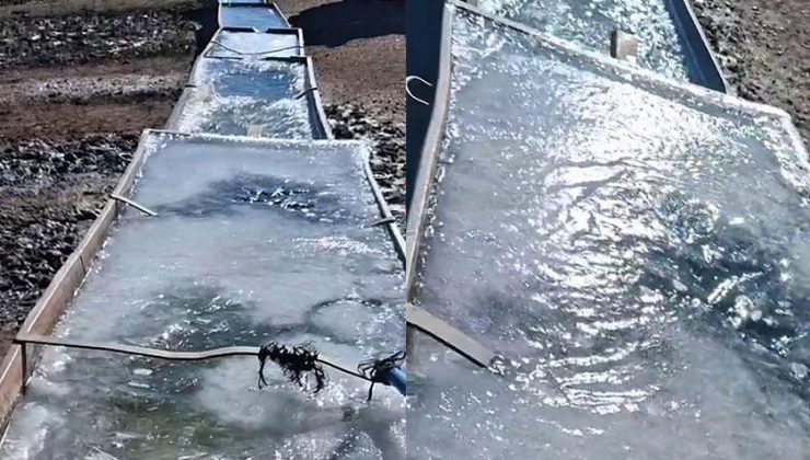 Dondurucu soğuklar bastırdı! Kent buzla kaplandı