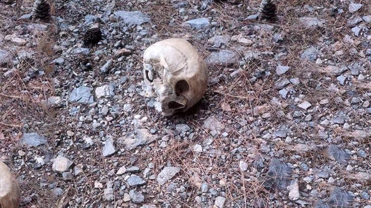 Gazipaşa’da ormanda kafatası bulundu, incelemeye alındı
