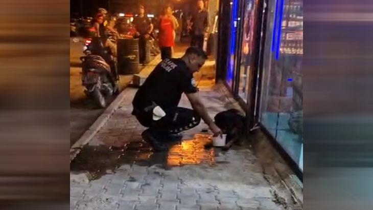 Hatay’da sokak köpeğini av tüfeğiyle yaralayan şüpheli gözaltına alındı