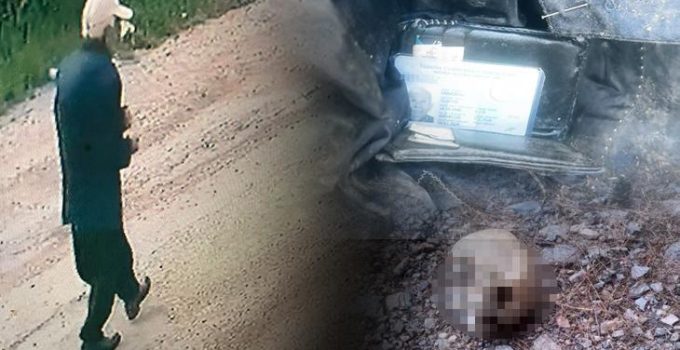 Ormanda bulunan kafatasıyla ilgili ayı şüphesi: Kıyafetleri parçalanmış ve yırtılmış