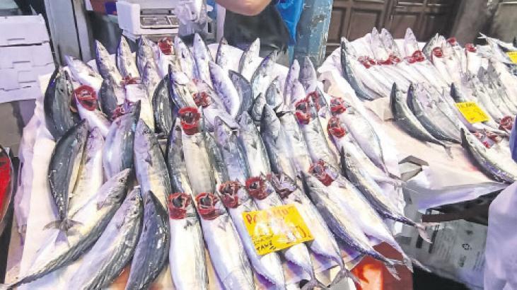 Palamutu sofranızdan eksik etmeyin! Fiyatı düşük değeri yüksek