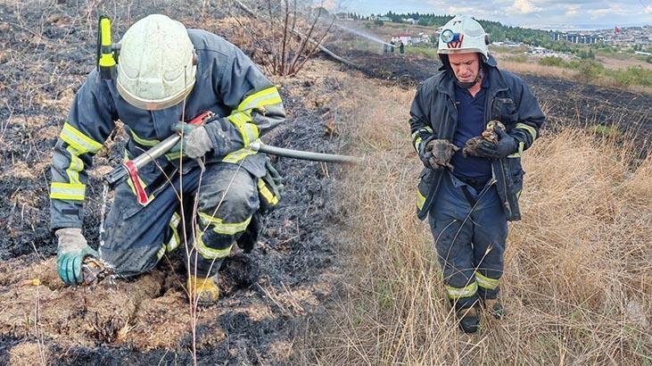 Yalova’da alevlerin arasında kalan kaplumbağalar kurtarıldı