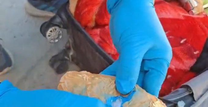32 ilde dev uyuşturucu operasyonu! 298 şüpheli tutuklandı
