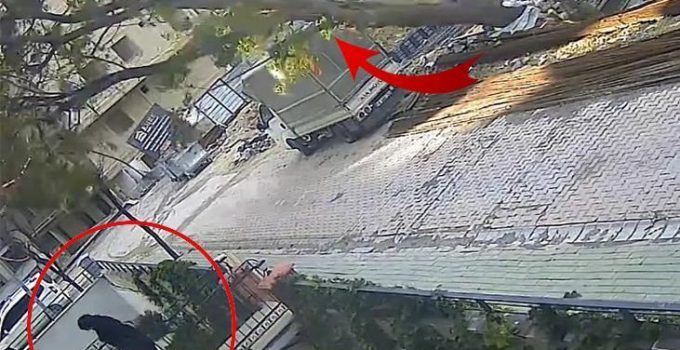 Avcılar’da binaya girmek üzereydi, devrilen ağacın altında kalmaktan son anda kurtuldu