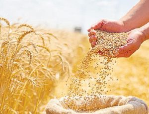 Bir yanda açlık bir yanda israf