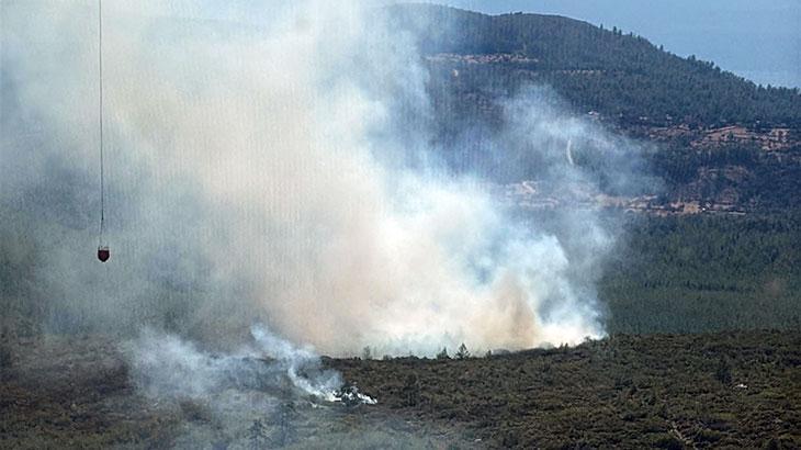 Bodrum’da orman yangını! Havadan karadan müdahale