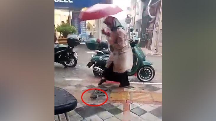 Canlı yayın yaparken gözlerine inanamadı! Mazgaldan çıkan görenleri korkuttu