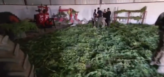 Diyarbakır’da uyuşturucu operasyonu! 2 ton 200 kilo esrar ele geçirildi