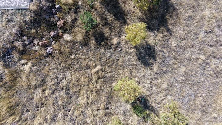 Erzurum’da 93 Harbi’nin unutulan kahramanları! 7 kardeşin mezarı otların arasında