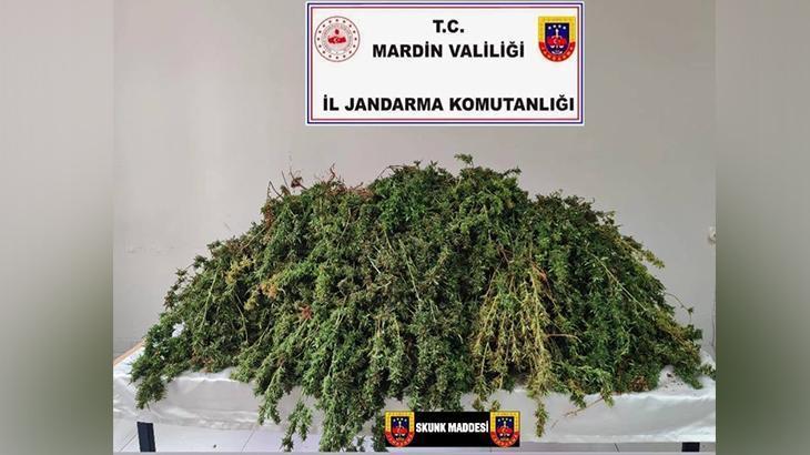 Mardin Kızıltepe’de uyuşturucu operasyonu: Tam 43 kilo ele geçirildi