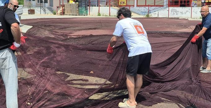 Marmara Denizi’nde 800 kilogram hayalet ağ çıkarıldı! Güneş gözlüğüne dönüşecek