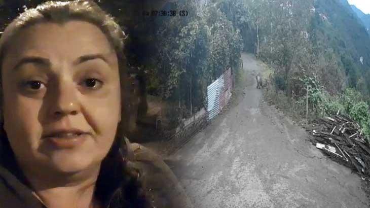 Sabah işe giden kadının karşısına ayı çıktı