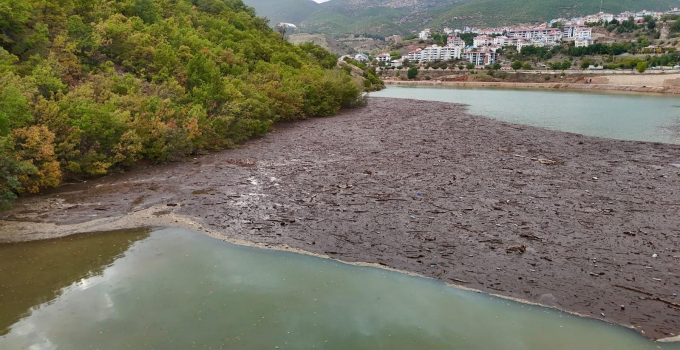Tunceli’de sağanak sonrası korkutan görüntü! Munzur ve Pülümür’den gelen atıklar kıyıya yığıldı